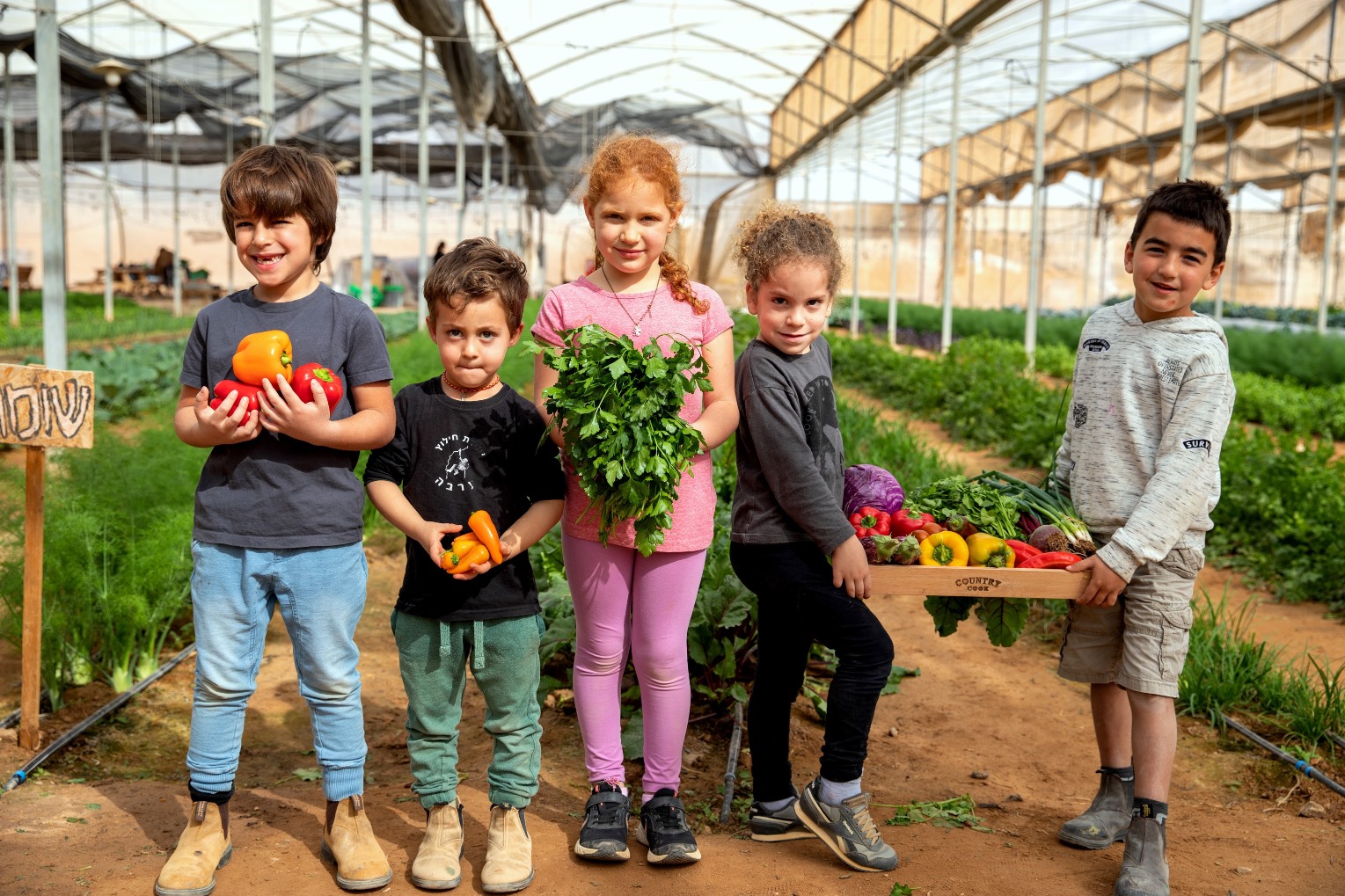 'מהחממה לצלחת' – בסימן הצדעה לחקלאות ישראלית מקומית