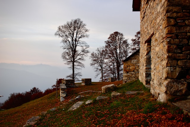 אירוח כפרי שינתק אתכם מהשגרה - קרדיט-Photo by Lieve Ransijn on Unsplash