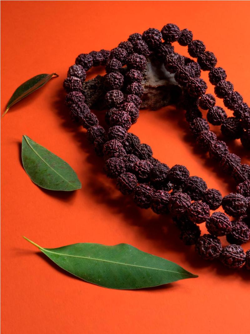 Mala Indiano Rudraksha - Grani Grandi