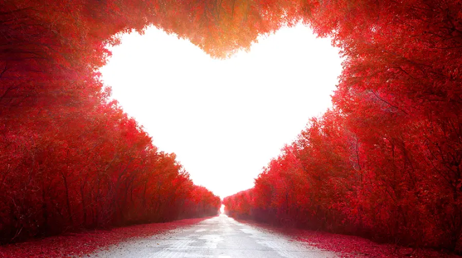 Where in Ternopil Do Online Love Stories Begin?