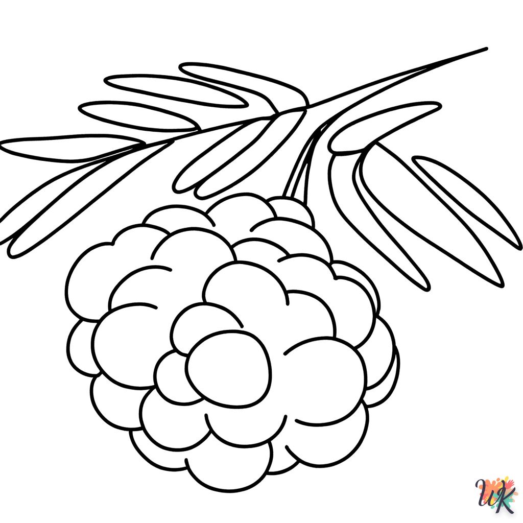 Disegni da Colorare Mimosa