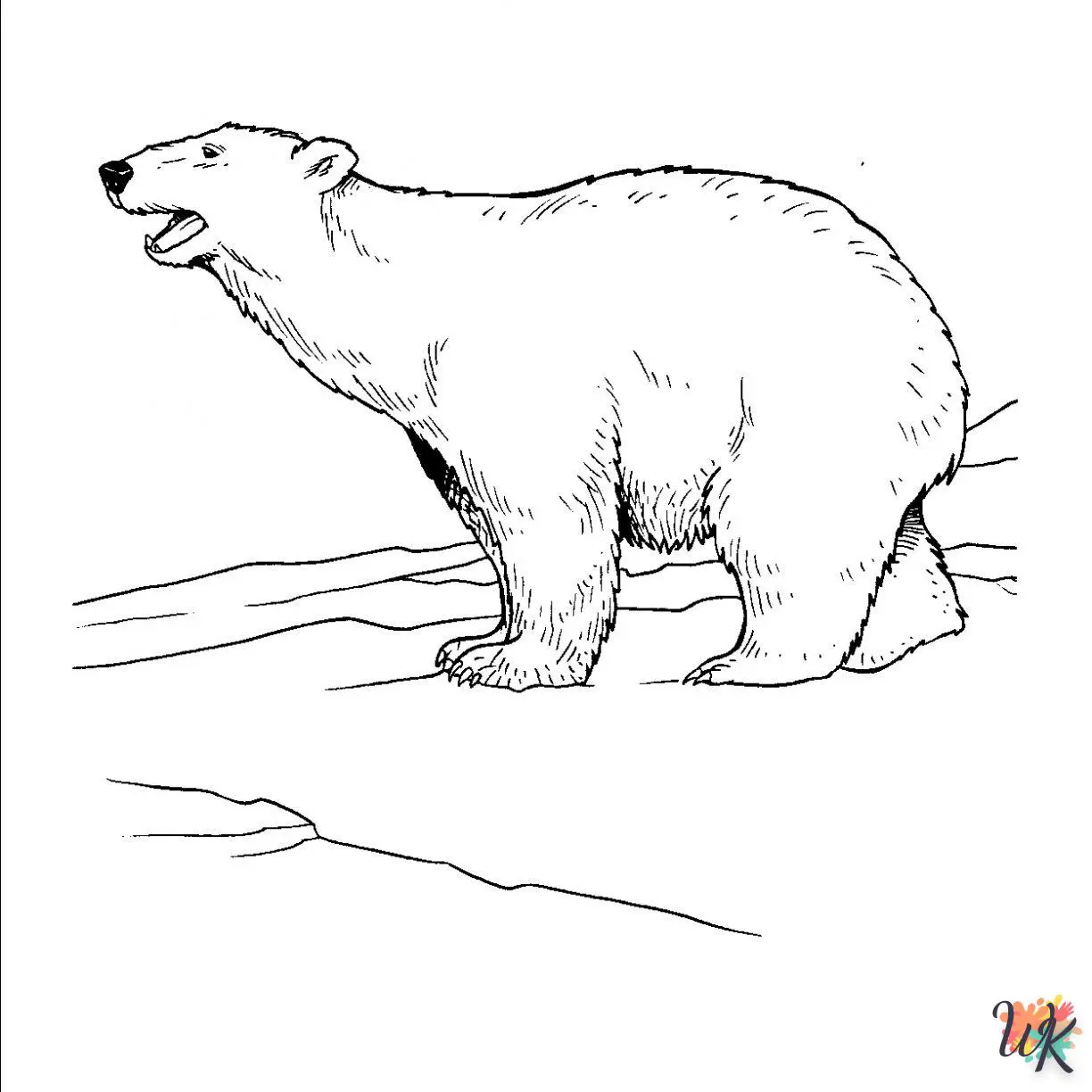 Disegni da Colorare Orsi Polari