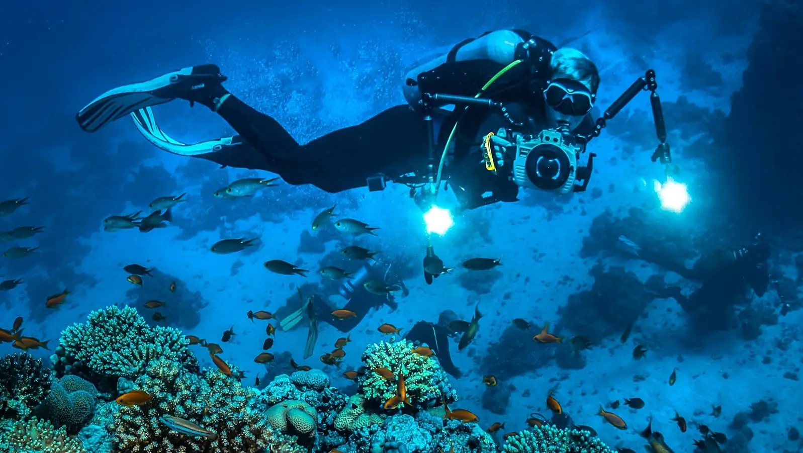 Dive Center-for Sale