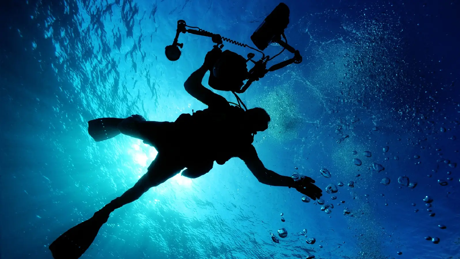 Dive listings 36