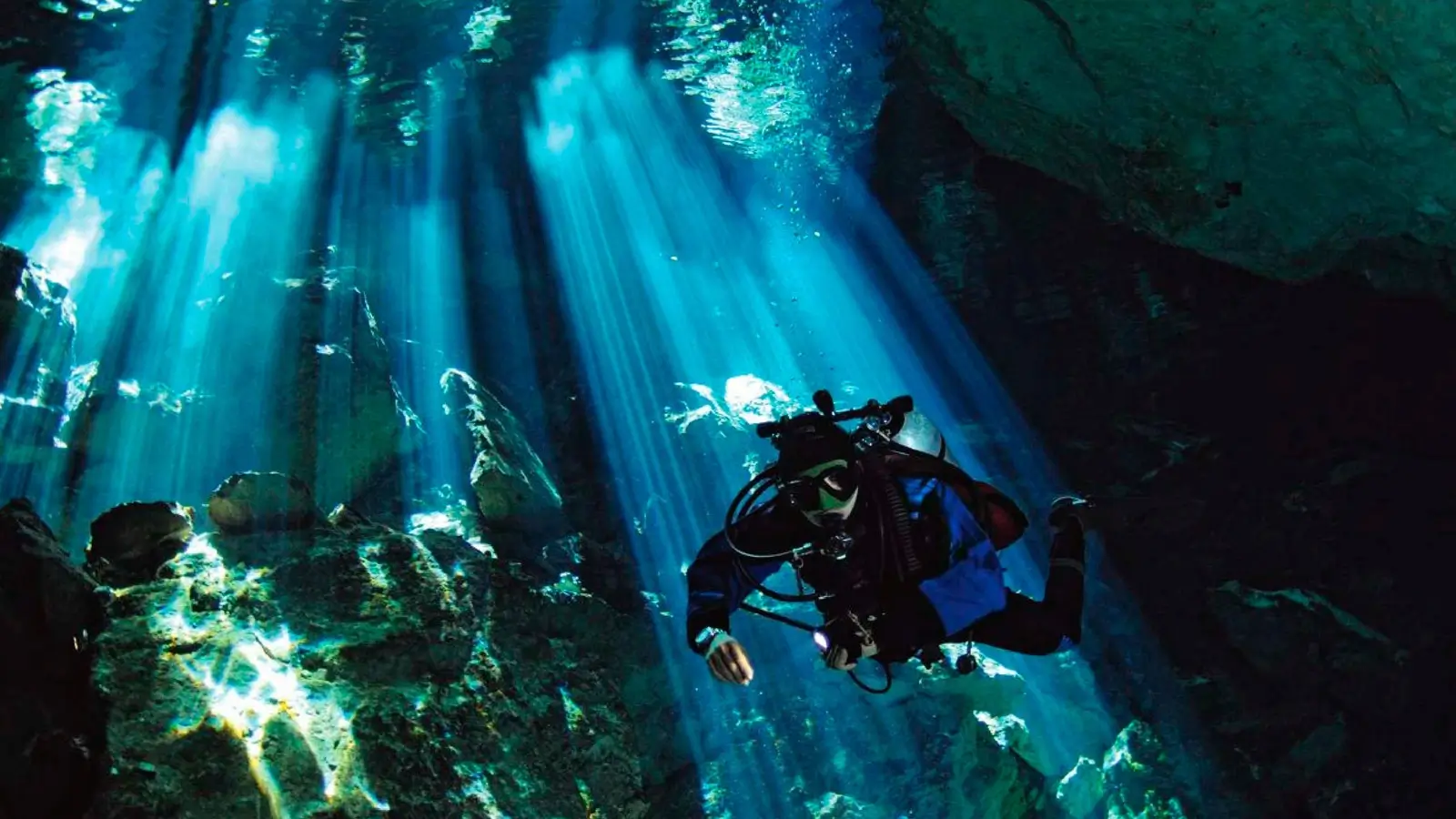 Dive Listing 4