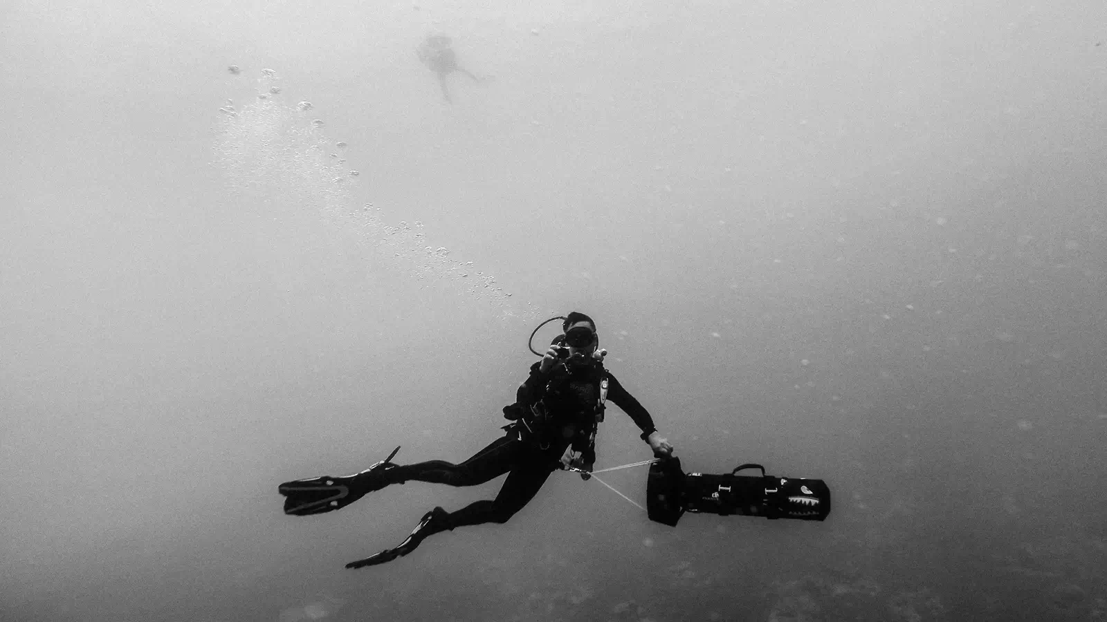 Dive-Listings 48