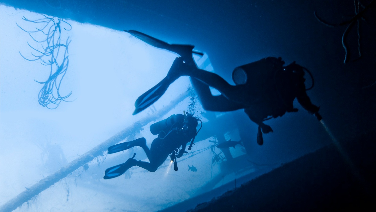 Dive listings 76