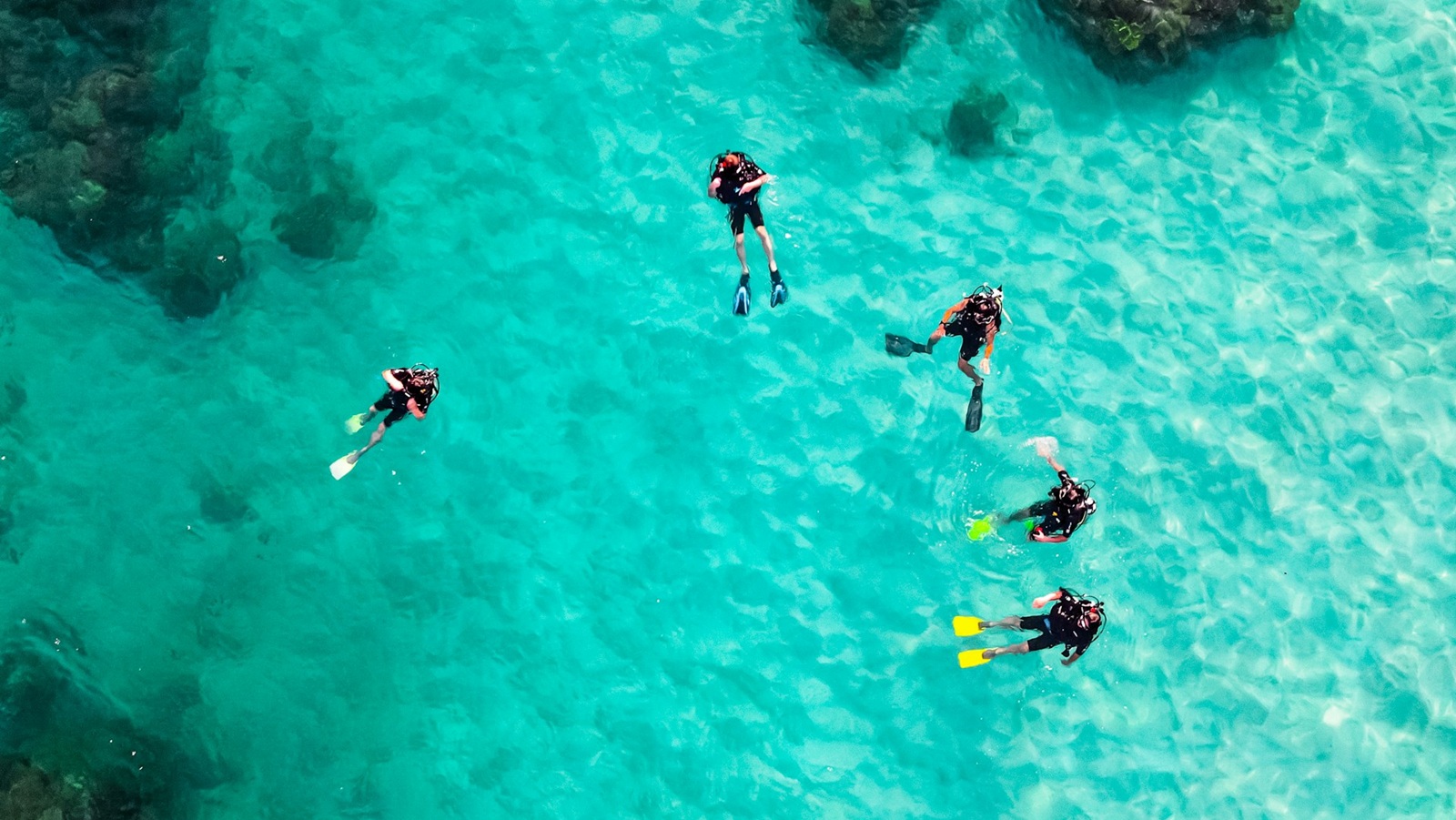Dive listings 80