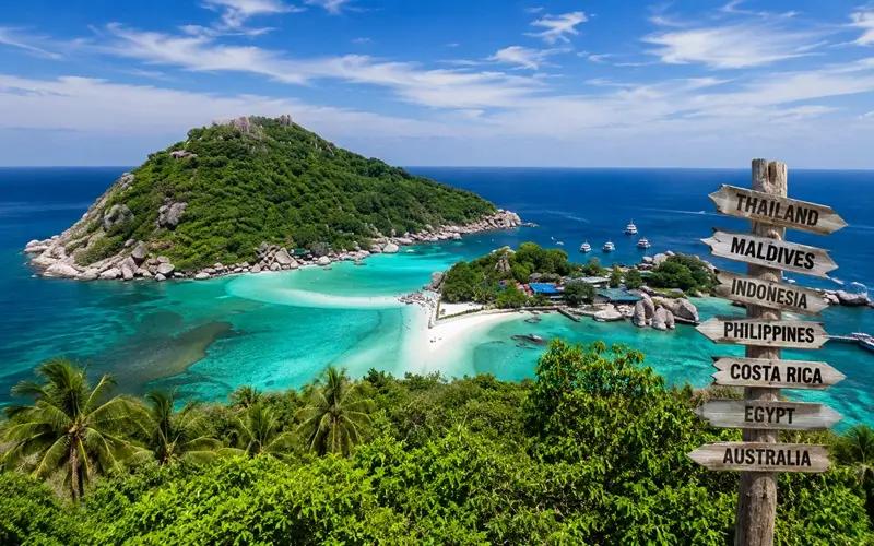 Dive Destinations & Market Guides