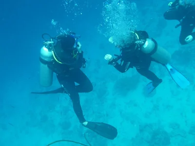 Dive Center for Sale in Colombo, Sri Lanka