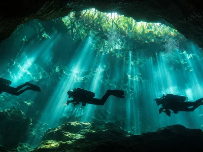 Dive Center on Cozumel Island for sale