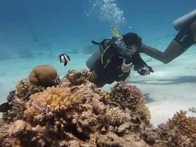 Unique Opportunity: Dive Center in Puerto Rico Seeking New Owner!
