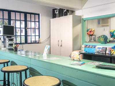 Turnkey PADI 5-Star Dive Center For Sale in Dominica – 30 Years of Proven Success