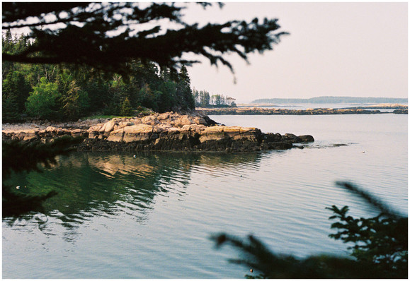 A film photograph of a cove on the coast of Maine. The photo is taken from one side of the cove looking over to the headland on the other side. Spruce forest lines the coast right down to the pink granite shoreline and a few spruce branches frame the shot. It is low tide and a type of seaweed, rockweed, covers the rocks below the high tide line. The waters surface is relatively placid and reflects the headland and the sky in varying shades of emerald, teal, pale blue, and white. A few islands are in the distance.