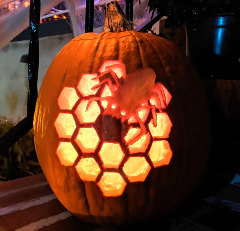 A carved Halloween pumpkin featuring a honeycomb pattern similar to the JWST telescope mirror. At the center, a spider design on the honeycomb pattern.
