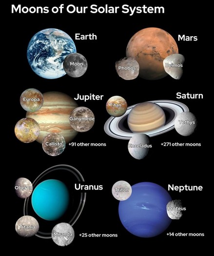 An image titled "Moons of Our Solar System."

It shows our solar system's major planets—Earth, Mars, Jupiter, Saturn, Uranus, and Neptune—with some of their notable moons labeled.

• Earth: Moon
• Mars: Phobos, Deimos
• Jupiter: Europa, Ganymede, Io, Callisto, +91 other moons
• Saturn: Titan, Enceladus, Tethys, +271 other moons
• Uranus: Oberon, Titania, Miranda, +25 other moons
• Neptune: Triton, Proteus, +14 other moons

Each planet and its moons are displayed with realistic images against a black background.