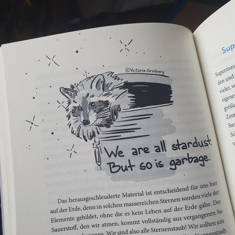 Foto einer Buchseiten mit einer schwarz-weiß Zeichnung eines Waschbären, der aus einer Mülltonne rausschaut und dem Spruch aus dem Post.