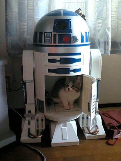 A cat sitting in an opened R2D2 droid