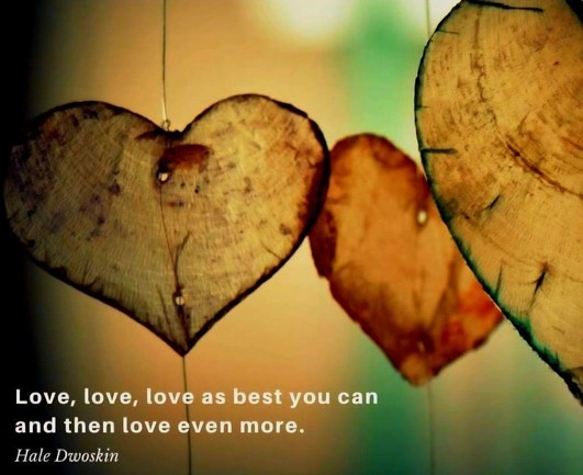 "Love, love, love as best you can and then love even more." ~ Hale Dwoskin