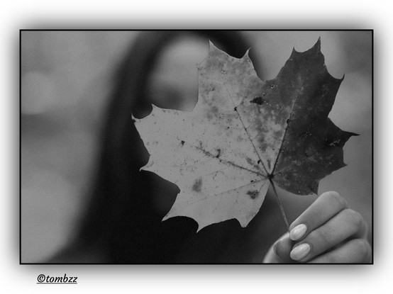 A black and white analog photograph shows a young woman hiding her face behind a large maple leaf, its veins and edges sharply defined at the center of the frame. Her hand, gently curved with neatly manicured nails, holds the leaf from below, in the lower right corner of the image. The background is softly blurred, with a subtle bokeh effect that adds depth and intimacy to the composition. Amid the blur, her long, dark hair falls freely on either side. A light vignette surrounds the scene, enclosed by a thin black border. The image radiates quiet focus, capturing a moment suspended between concealment and revelation.