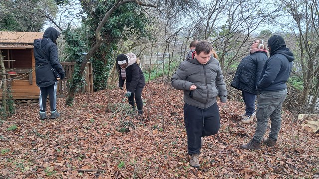 Tidying the nature garden