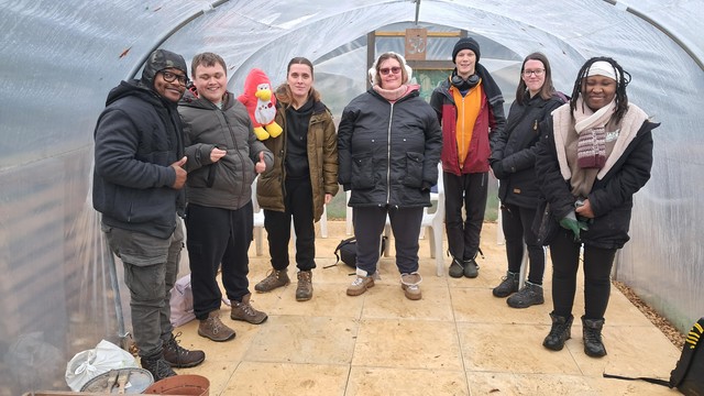 All in.the poly-tunnel