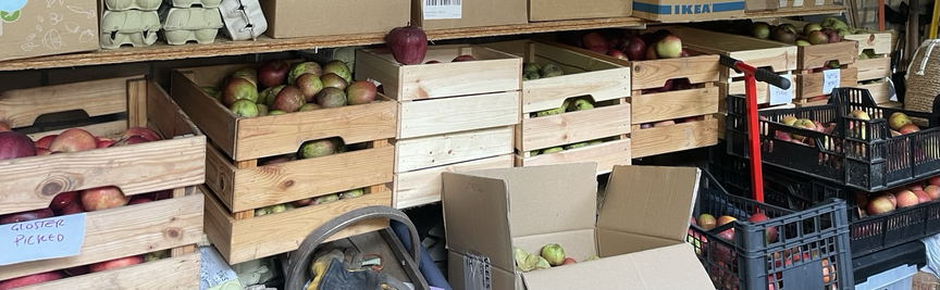 The crates stacked up on a shelf in the shed