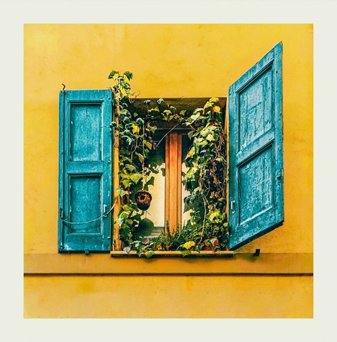 A vibrant, yellow stucco wall with a small window. The window has two turquoisey, weathered wooden shutters, one open and one half closed. Green vines with leaves and small red flowers climb around the window inside windowsill. There is a little brown birdhouse on the left attached to the plants. The shutters show signs of age and texture.