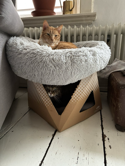 Picture of two cat nests, a cardboard one on the floor and a fluffy white one on top. Two cats are sitting in each of the nests, looking into the camera. A fluffy brown-grey-white one in the cardboard box and an orange one in the fluffy nest.
