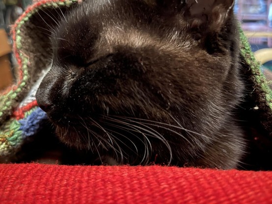 Closeup profile photo of a sleeping black cat; only her head is visible. She is sleeping on a handwoven red blanket and under a multicolored hand knit blanket, the edge of which wiggles in a line that echoes her profile.