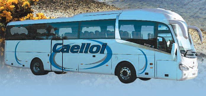 Caelloi Motors