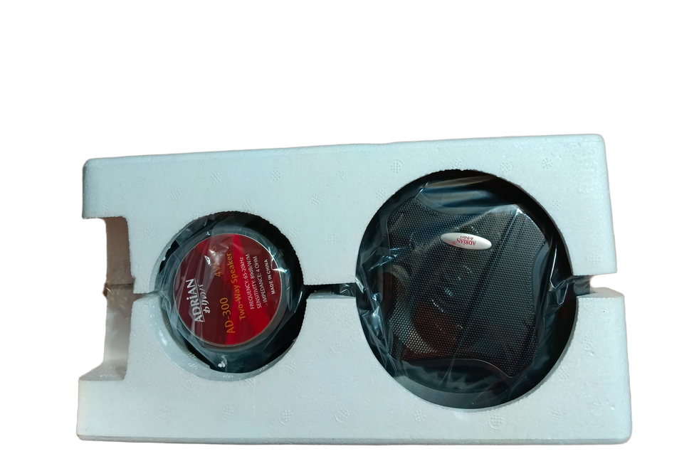 Car speaker 2