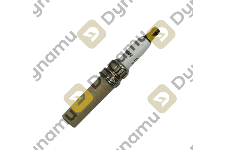 Spark Plugs BMW