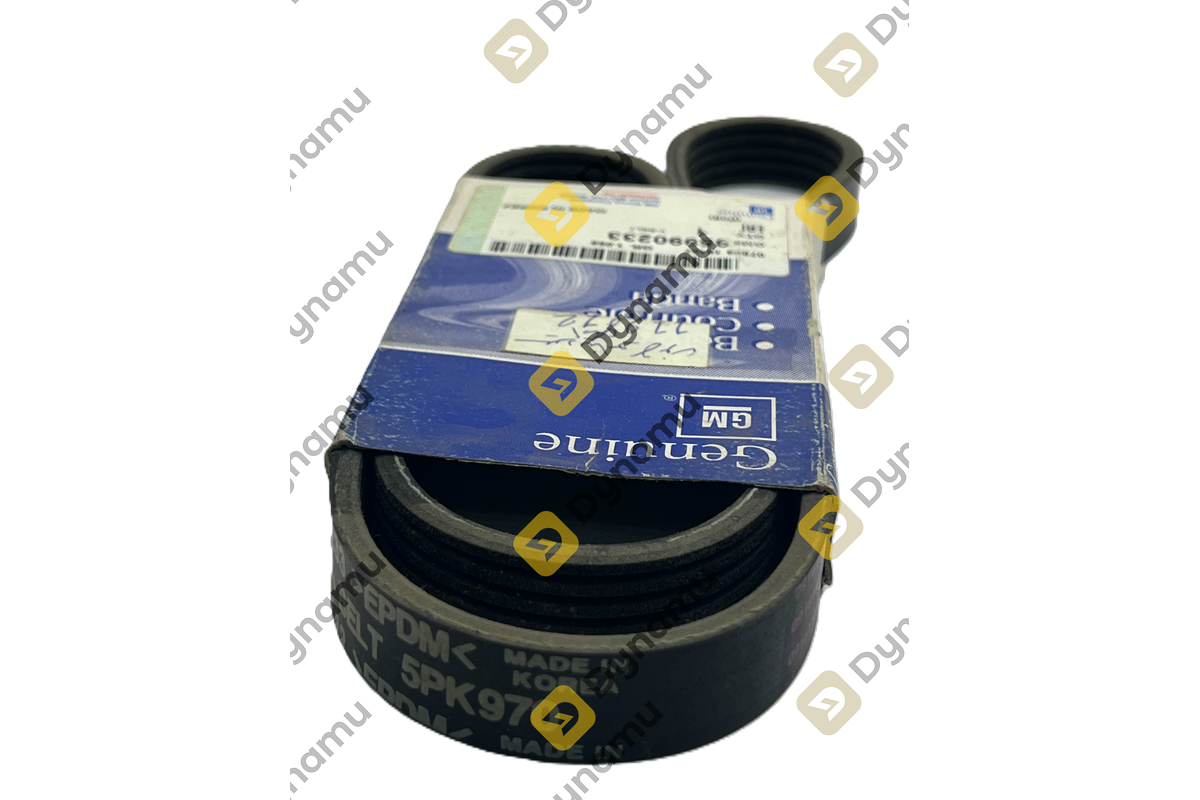 Alternator Belt 2
