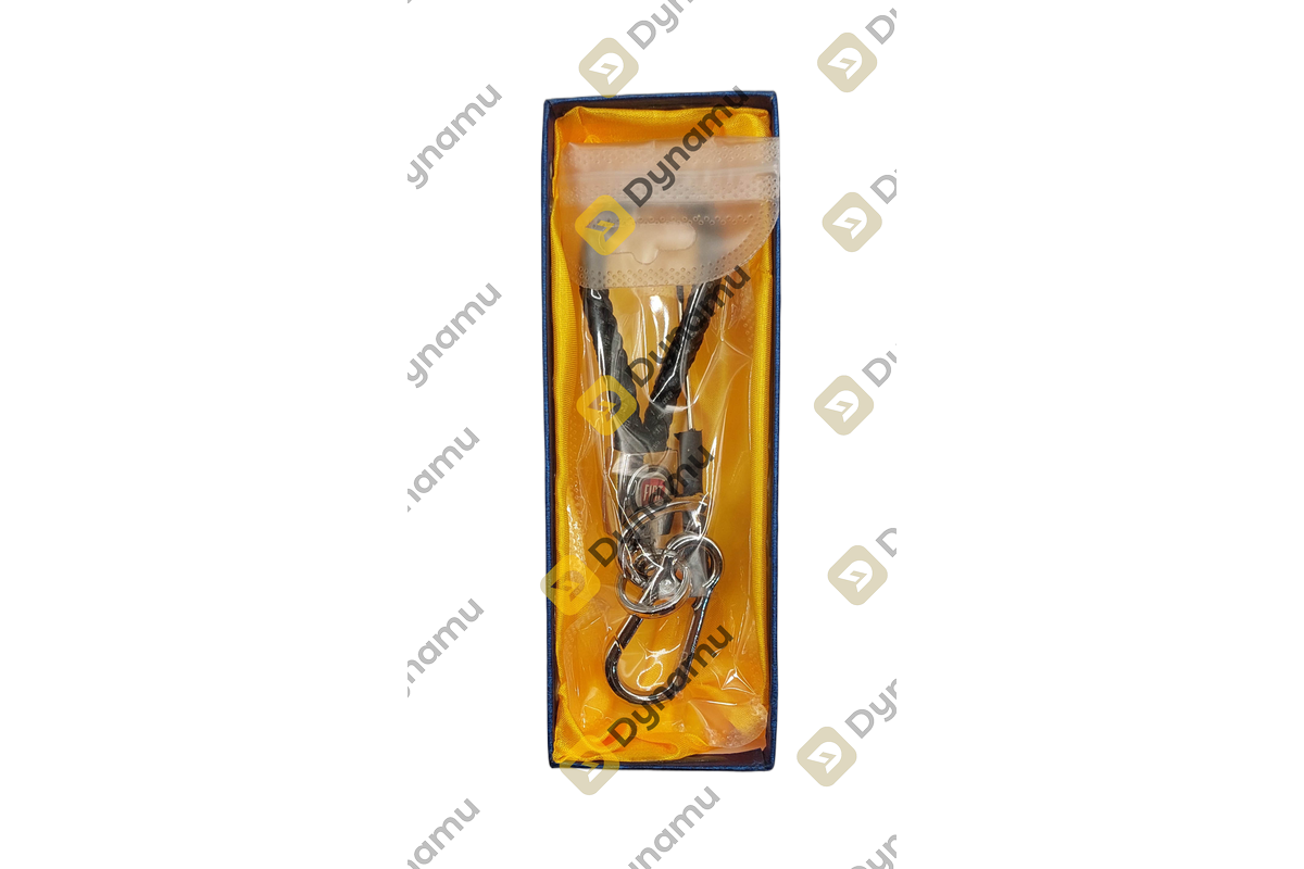 Car logo keychain