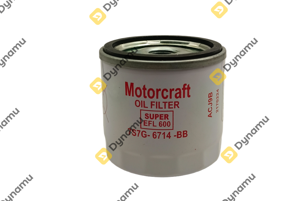 Oil Filter (Motorcraft Super EFL 600) 2