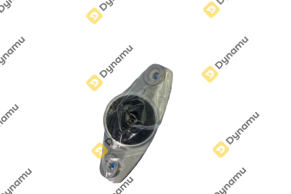 Rear Strut Mount 1
