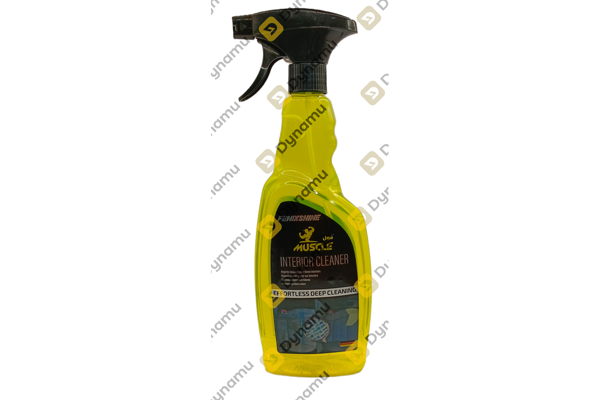 INERIOR CLEANER