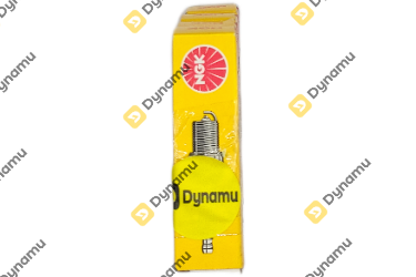 21 Spark Plugs With Resistance