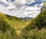 10255718-nature-4524020_640
