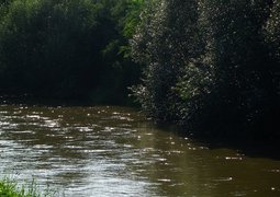11704712955_5af4652040_c