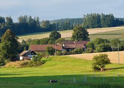 14751328828_05d81a6cbb_c