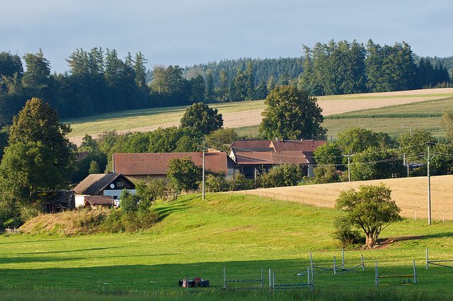 14751328828_05d81a6cbb_c