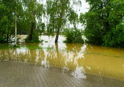 15018737022_1d85ca9067_c