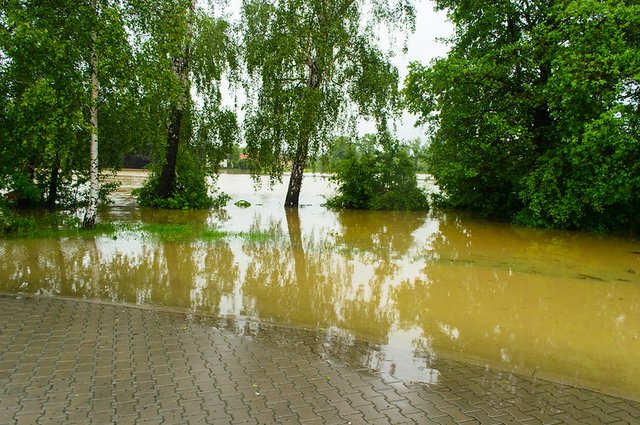 15018737022_1d85ca9067_c