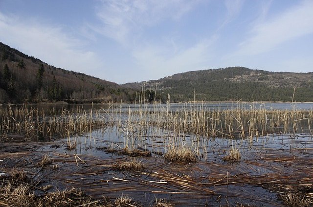 23649574-mountain-6706390_640