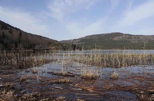 23649574-mountain-6706390_640