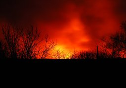 2374828986_7842ff22ea_c