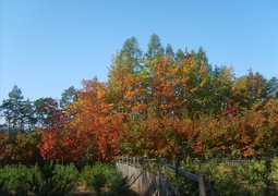 2423026217_60bba3753d_c