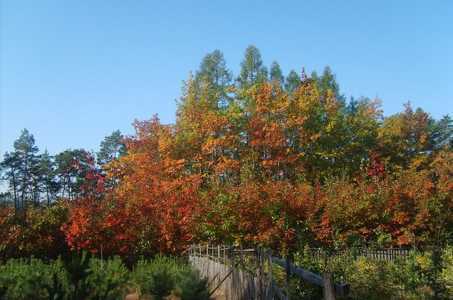 2423026217_60bba3753d_c